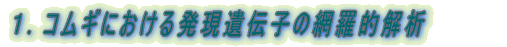 1. RMɂ锭`q̖ԗI 