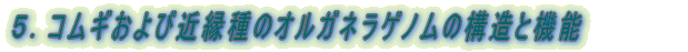 1. RMɂ锭`q̖ԗI 