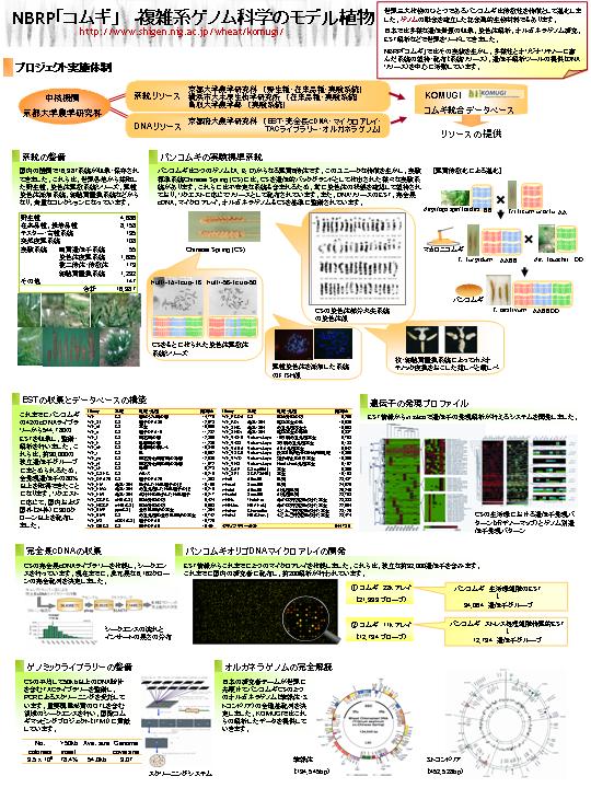 （2006年3月 日本植物生理学会において展示したポスター） pdf